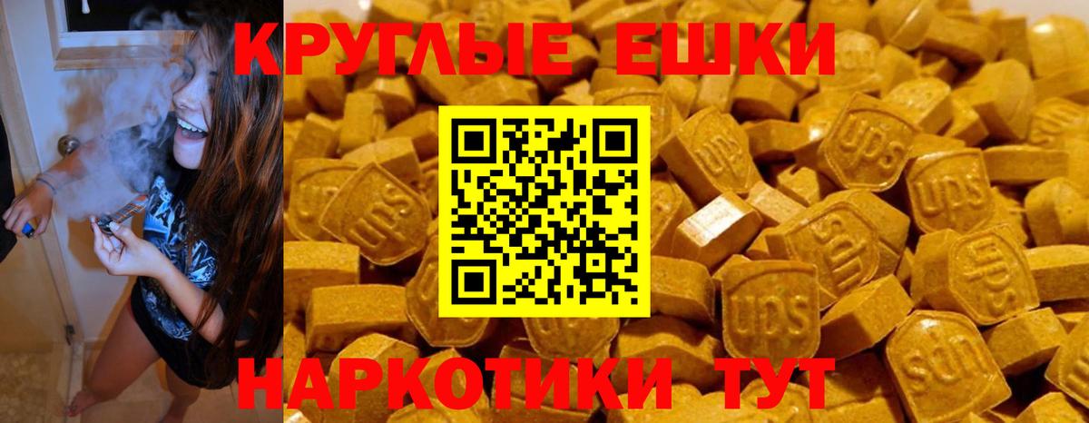Ecstasy Philipp Plein Горячий Ключ