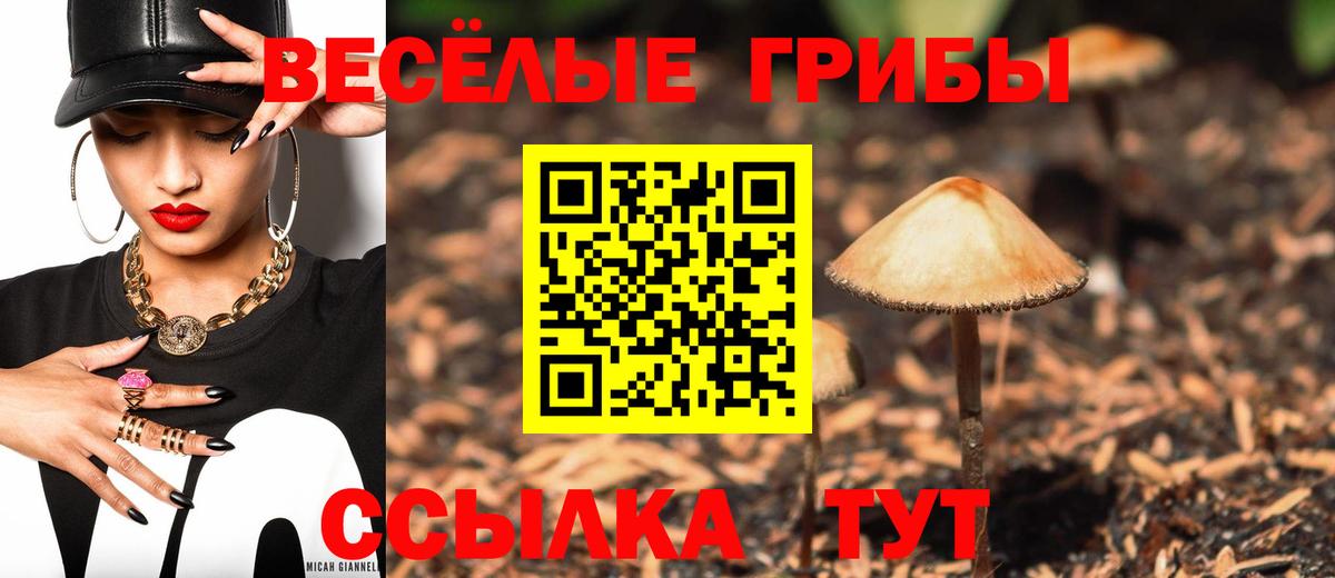 Псилоцибиновые грибы прущие грибы Горячий Ключ