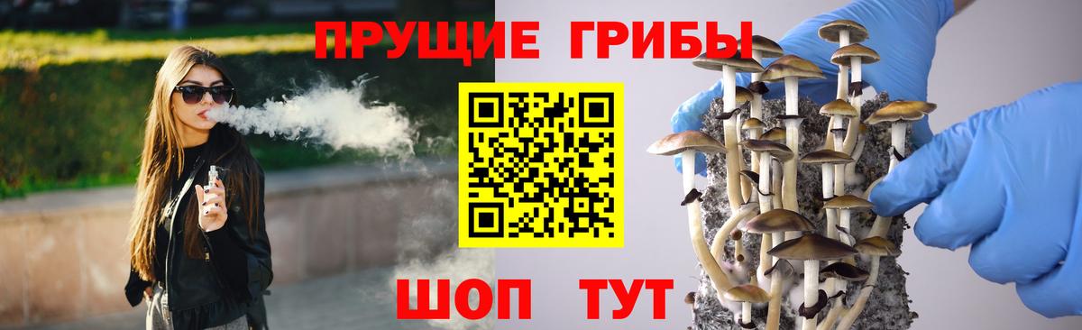 Галлюциногенные грибы GOLDEN TEACHER  Галлюциногенные грибы Cubensis  Горячий Ключ  Вход с VPN 